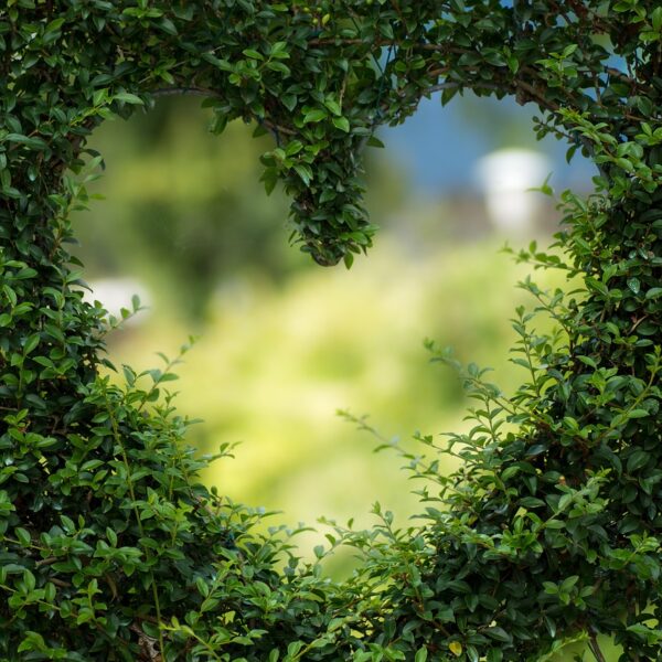 heart, free wallpaper, hd wallpaper