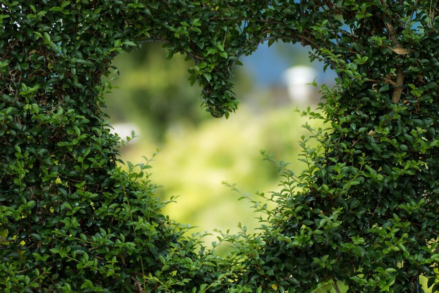 heart, free wallpaper, hd wallpaper