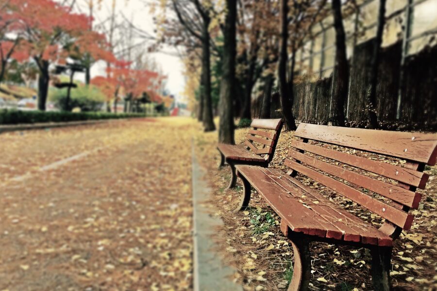 Brown Wooden Bench With Brown Dried Leaves